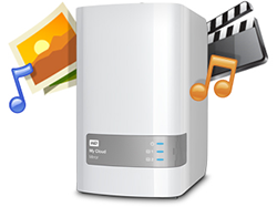 Western Digital Personal Cloud Data Recovery Service