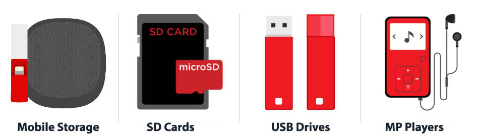 USB Drive and Flash Card Recovery Services