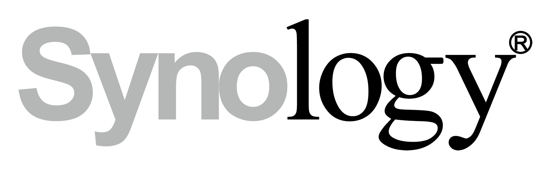 Synology Storage Device Data Retrieval Service